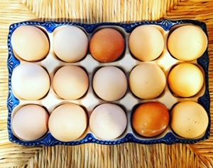FARM FRESH EGGS